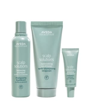 Aveda Scalp Solutions Winter Renewal Set Haarpflegeset