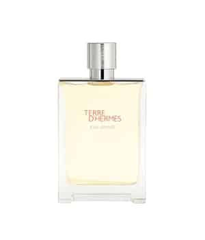 HERMÈS Terre d'Hermès Eau Givrée Eau de Parfum