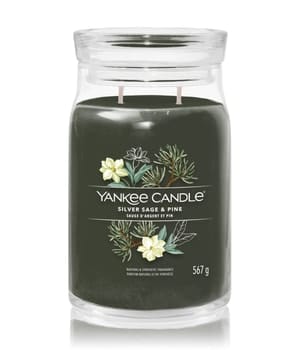 Yankee Candle Siver Sage & Pine Signature Jar Duftkerze