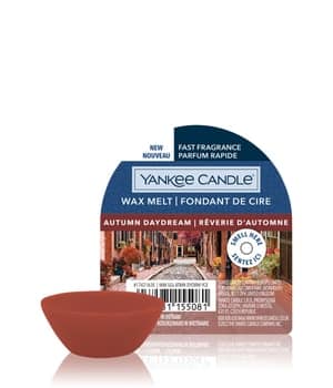 Yankee Candle Autumn Daydream Wax Melt Single Duftkerze