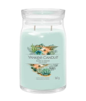 Yankee Candle Aloe & Agave Signature Jar Duftkerze