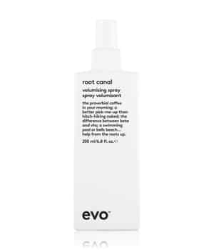 evo root canal volumising spray Volumenspray