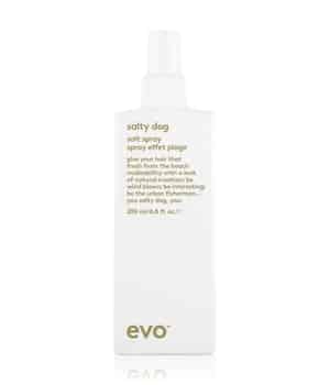 evo salty dog Salt Spray Texturizing Spray