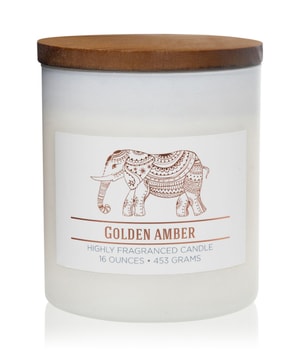 Colonial Candle Wellness Golden Amber Duftkerze