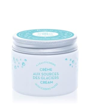 Polaar Ice Source Moisturizing Cream with Iceberg Water Gesichtscreme