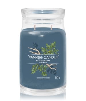 Yankee Candle Bayside Cedar Duftkerze