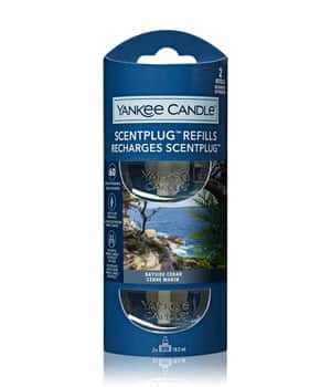 Yankee Candle Bayside Cedar New Scent Plug Refill Raumduft