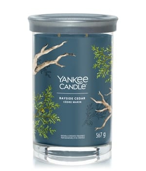 Yankee Candle Bayside Cedar Signature Large Tumbler Duftkerze