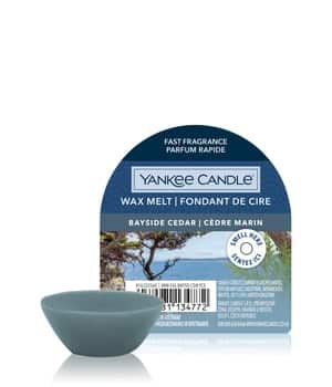 Yankee Candle Bayside Cedar Wax Melt Single Duftkerze