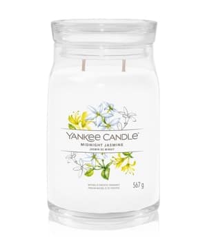 Yankee Candle Midnight Jasmine Duftkerze