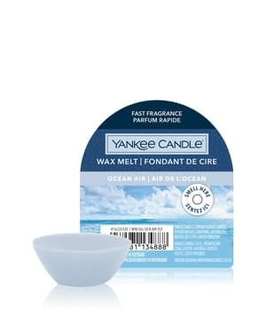 Yankee Candle Ocean Air Wax Melt Single Duftkerze