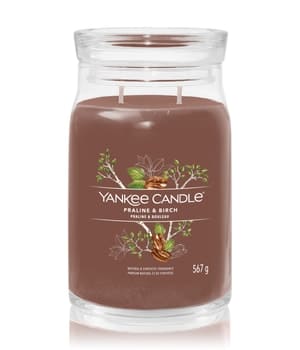 Yankee Candle Praline & Birch Duftkerze