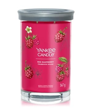 Yankee Candle Red Raspberry Signature Large Tumbler Duftkerze