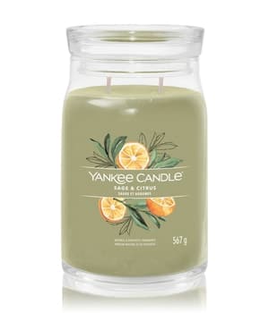 Yankee Candle Sage & Citrus Duftkerze