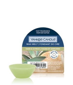 Yankee Candle Sage & Citrus Wax Melt Single Duftkerze